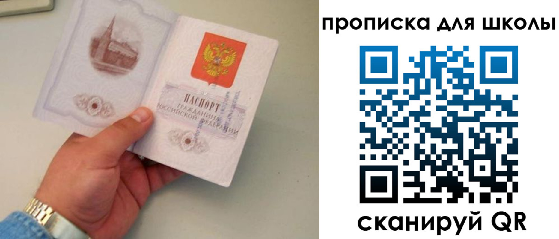 временная регистрация поиск в Хабаровском крае